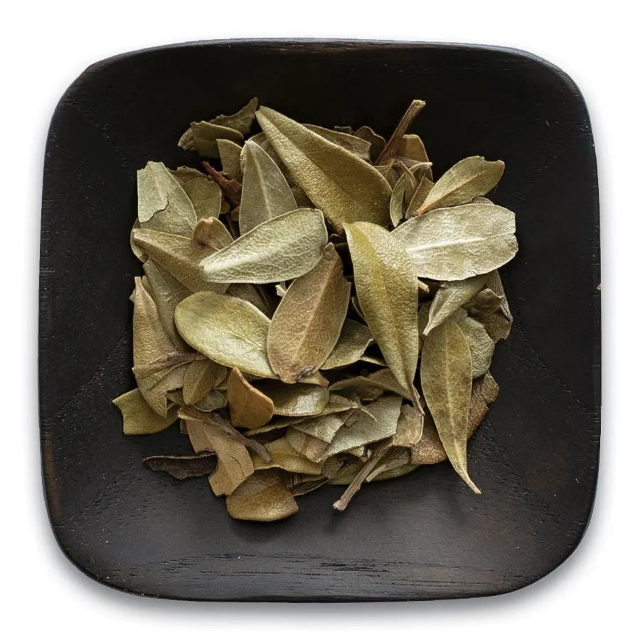 Bearberry Uva-Ursi Leaf whole Frontier Coop