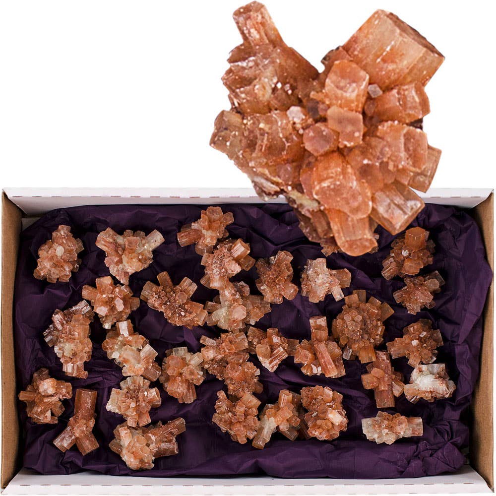 Crystal Points by the Flat Aragonite