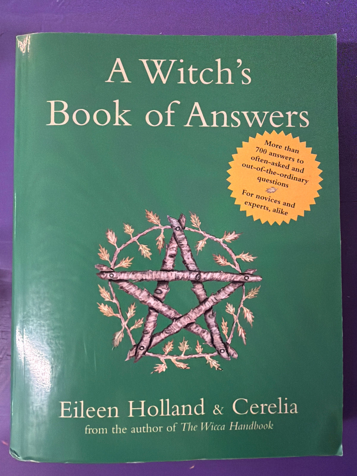 A Witch’s Book of Answers