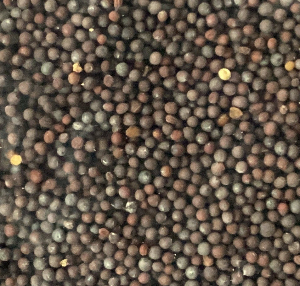 Brown Mustard Seeds 2oz