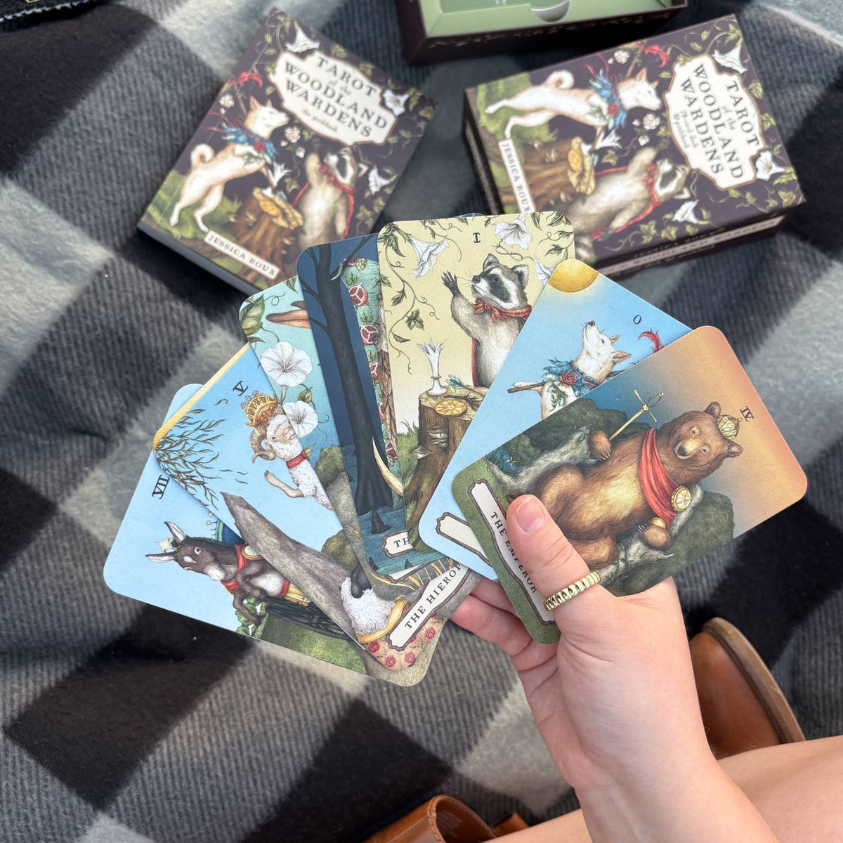 Tarot of the Woodland Wardens by Jessica Roux