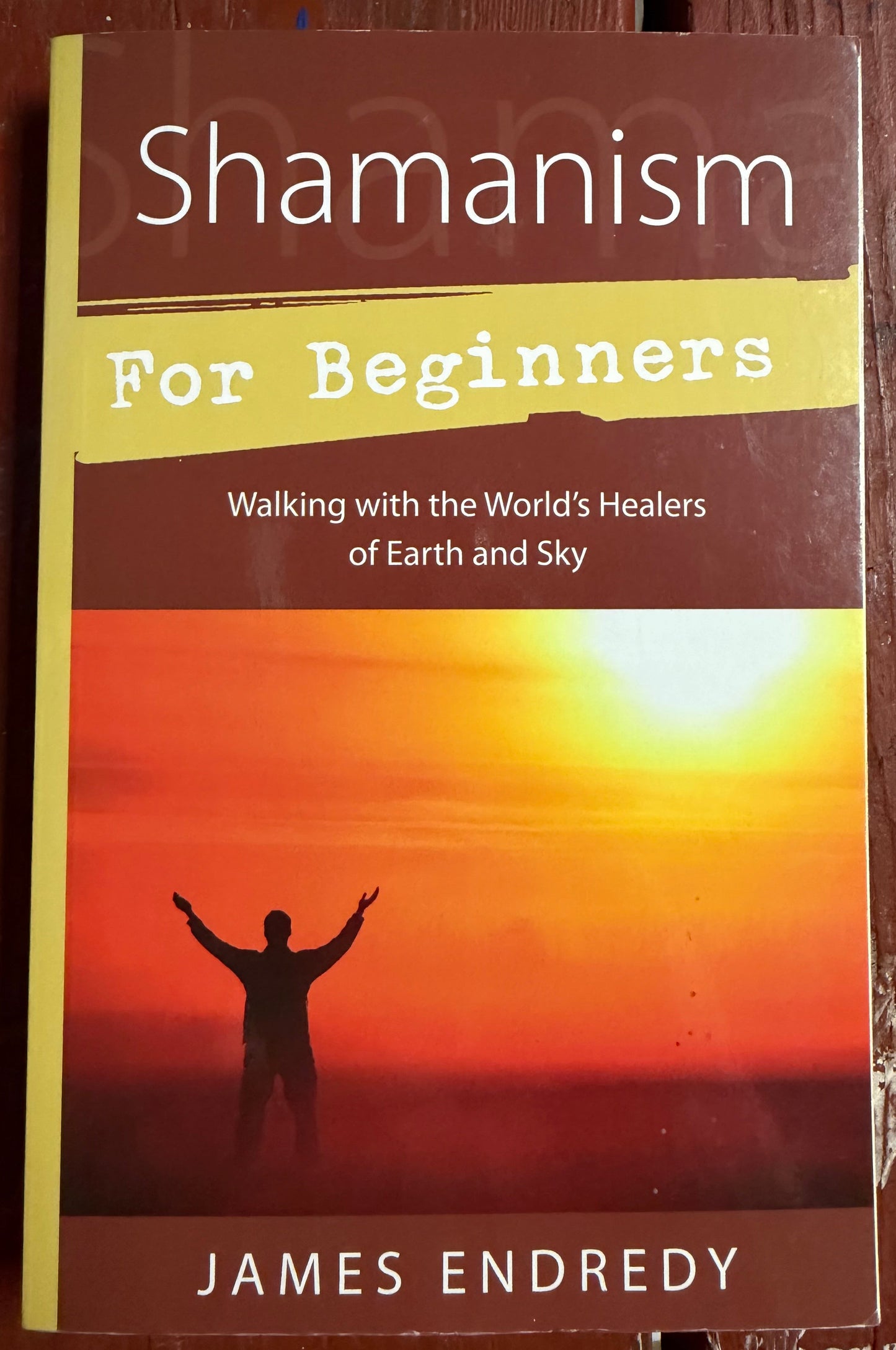 Shamanism for Beginners: Walking With the World's Healers of Earth and Sky