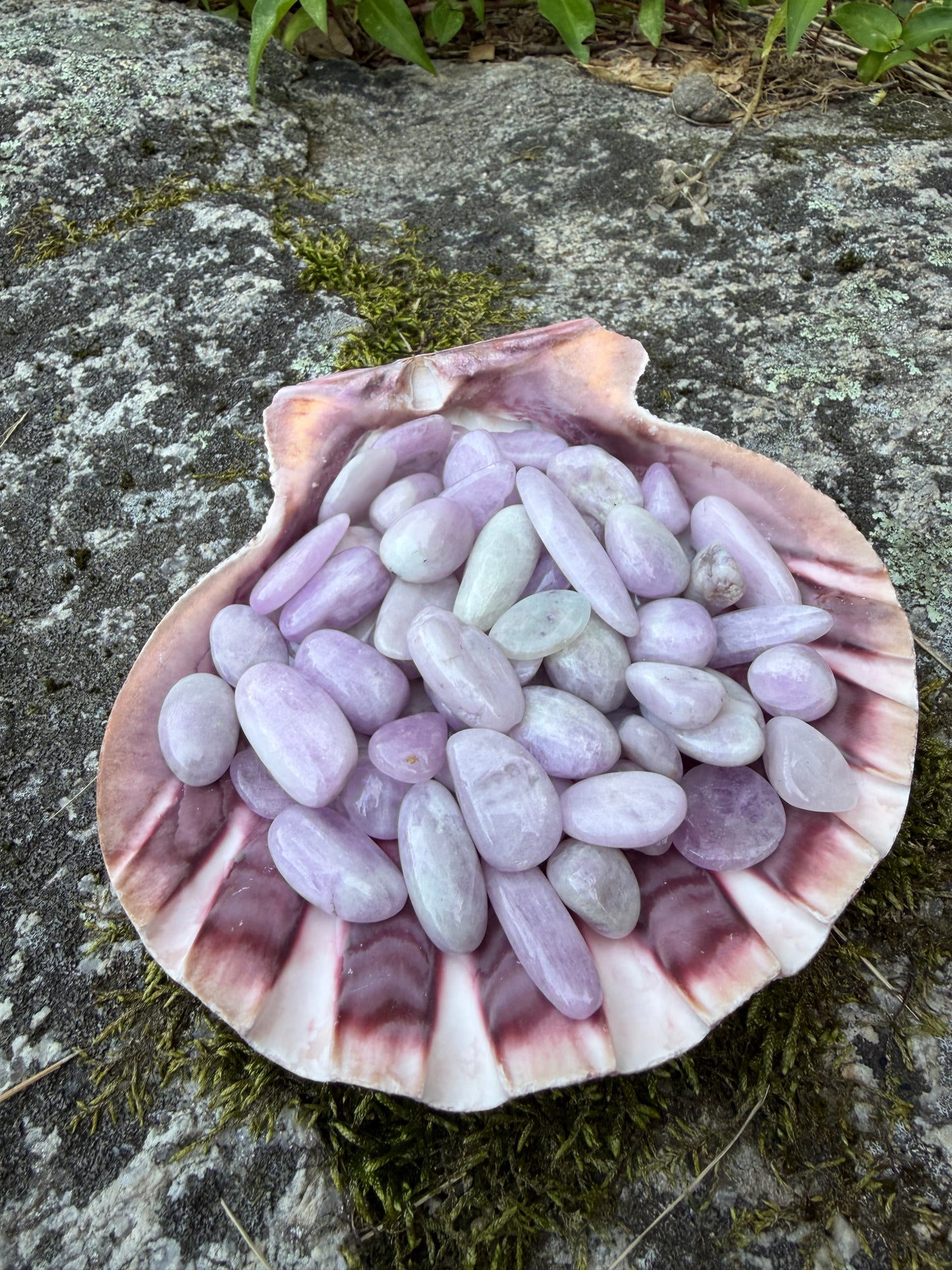 Kunzite tumbled stones 18-25 MM