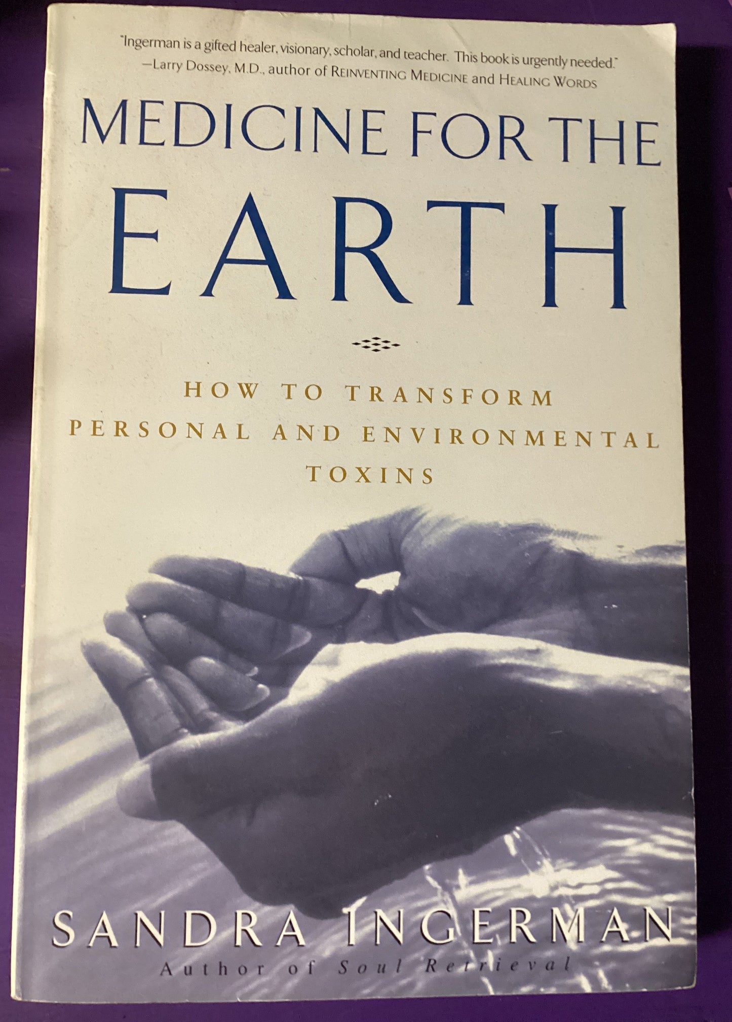 Medicine for the Earth by Sandra Ingerman