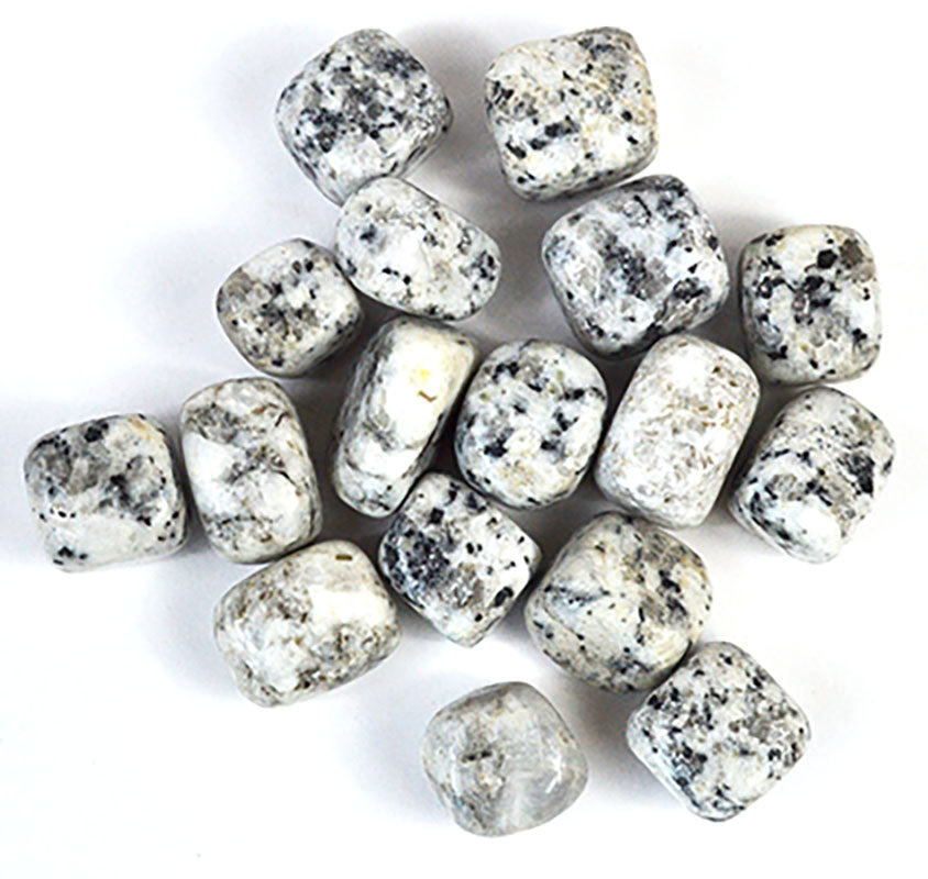 Dalmatian Jasper tumbled stone