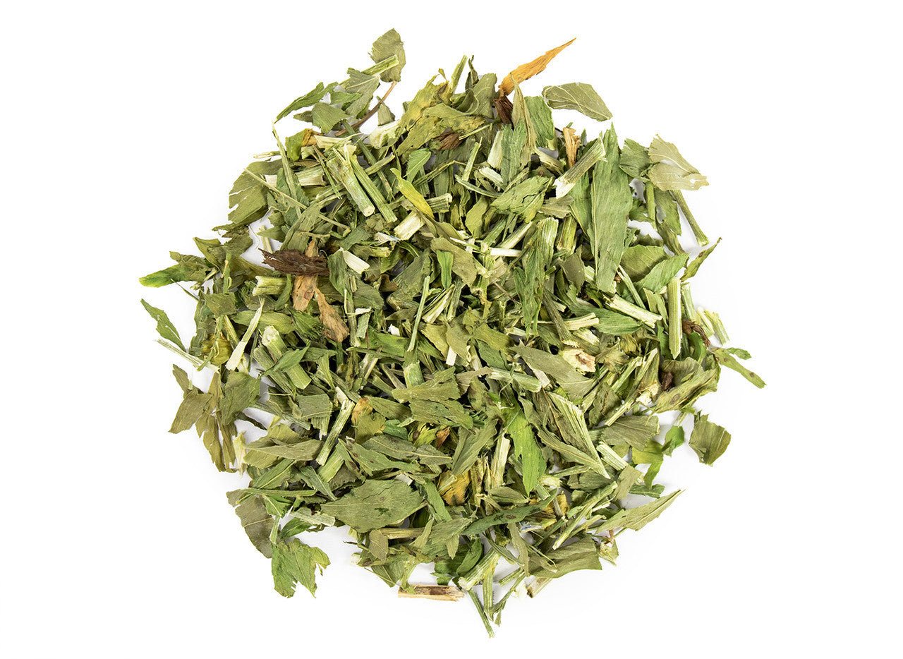 Goat's Rue Organic Mountain Rose Herbs