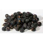 Juniper Berries Whole (Juniperus communis)