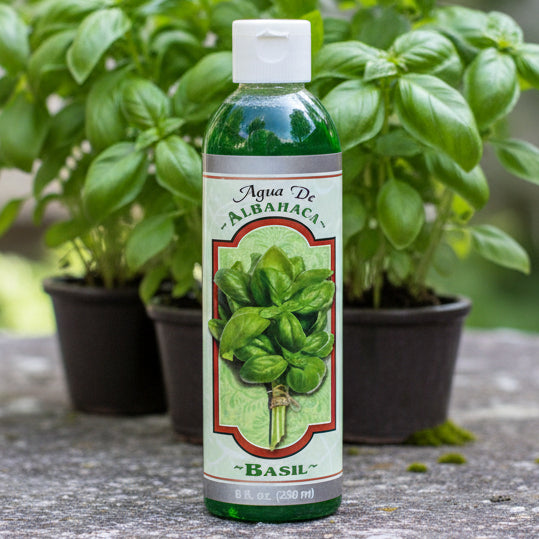 Basil water 8oz
