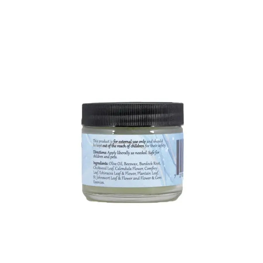 WiseWays Herbals All Heal Salve 2 oz.