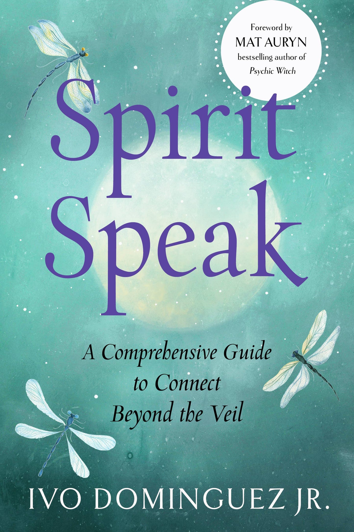 Spirit Speak: A Guide to Connect Beyond the Veil