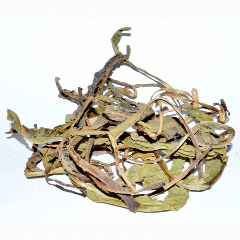 Deer's Tongue Leaf Original Botanica