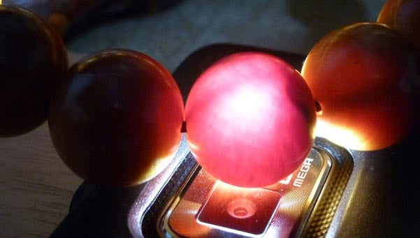 Dragon Blood Wood Wrist Mala Prayer Beads - 8mm