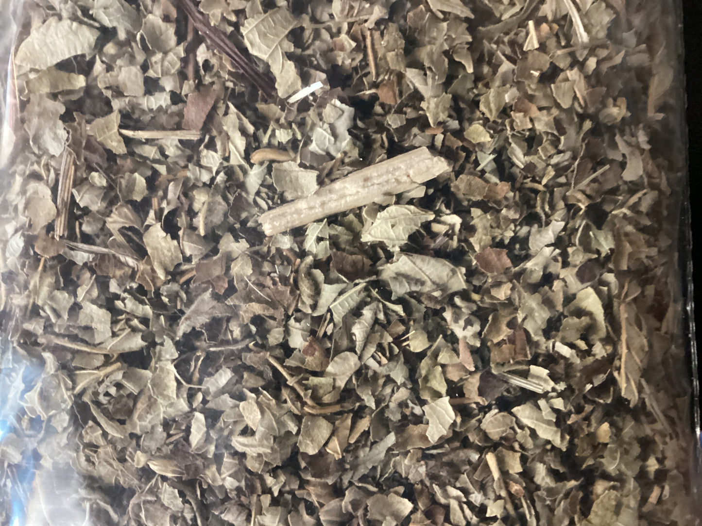 Blackberry Leaf cut 1oz wildcrafted