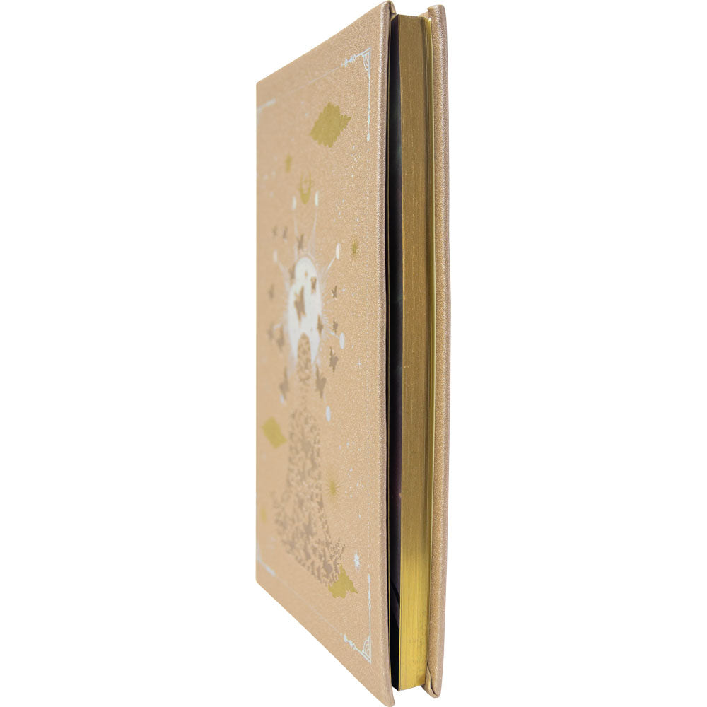 Vegan Leather Crystal Journal w/ Bag - Reiki