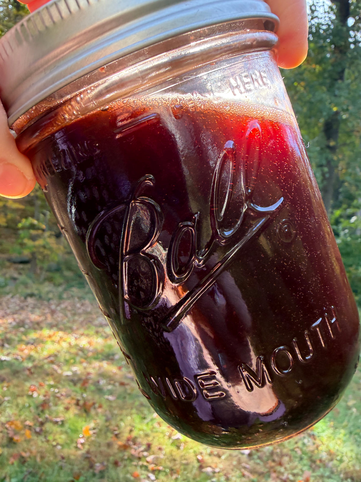 Dragon’s Blood Anointing & Ritual Oil