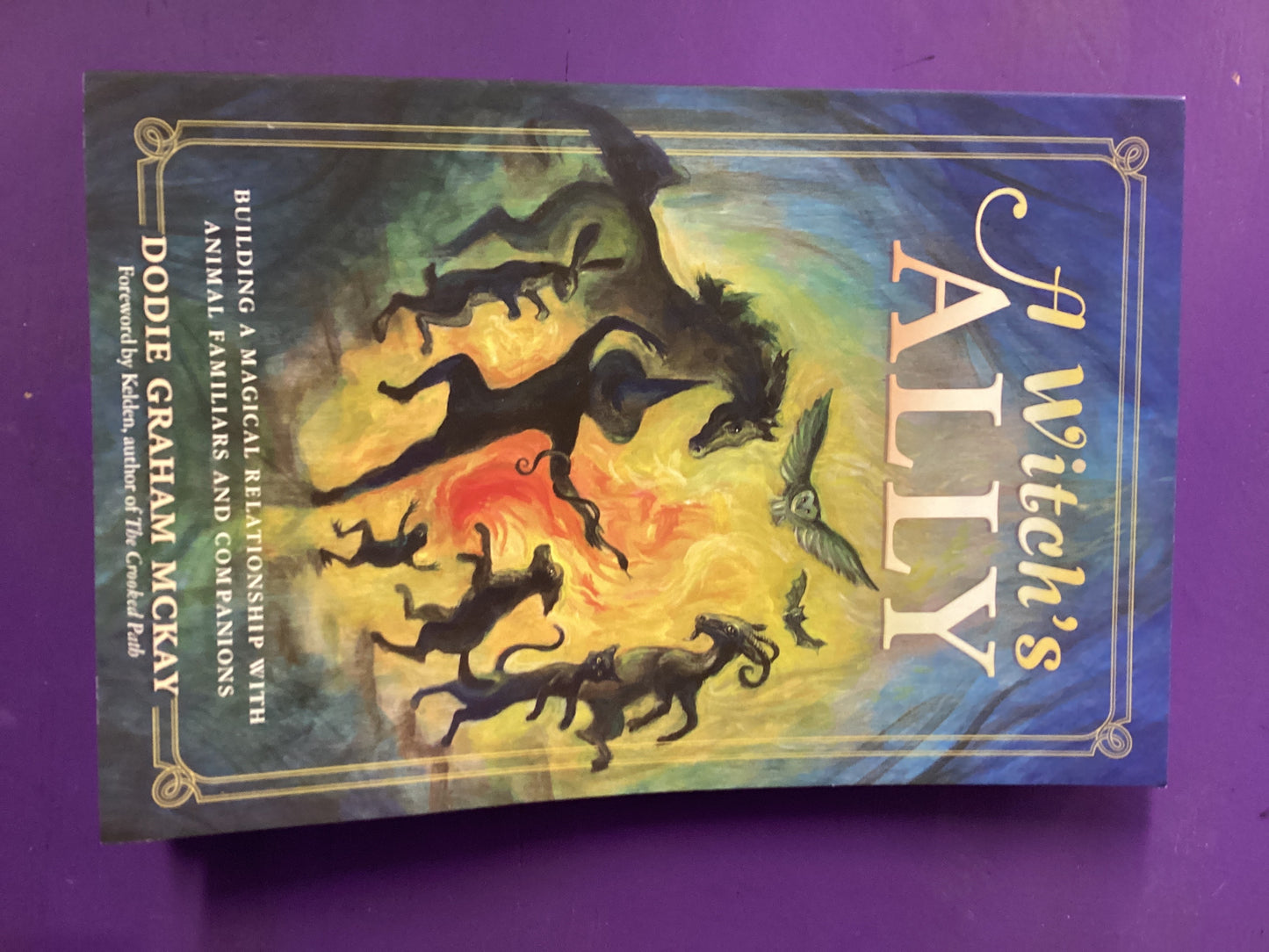 A Witch’s Ally by Dodie McKay