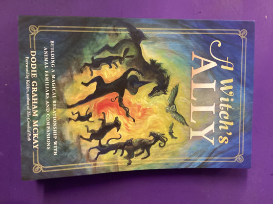 A Witch’s Ally by Dodie McKay