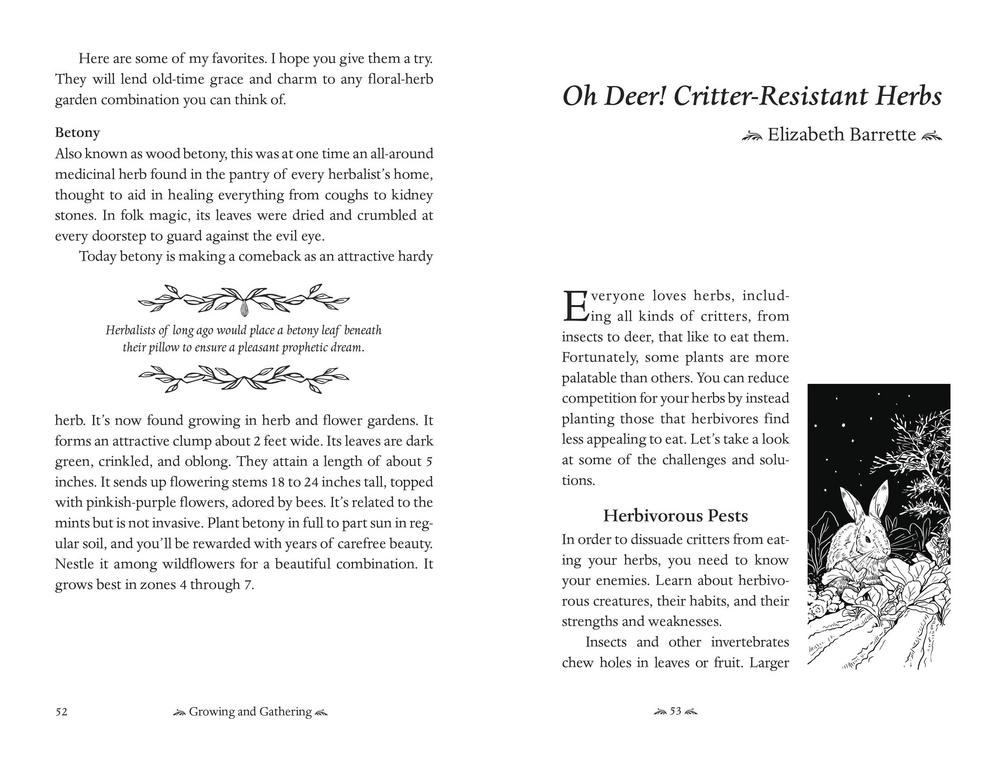 2026 Herbal Almanac by Llewellyn