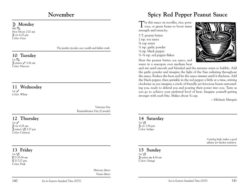 2026 Witches Datebook by Llewellyn