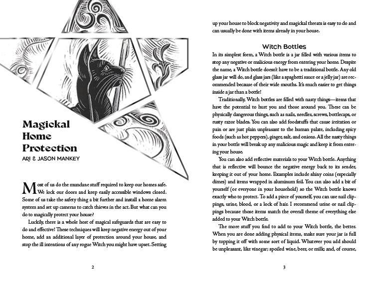 2027 Witches Companion Almanac by Llewellyn
