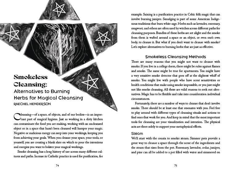 2027 Witches Companion Almanac by Llewellyn