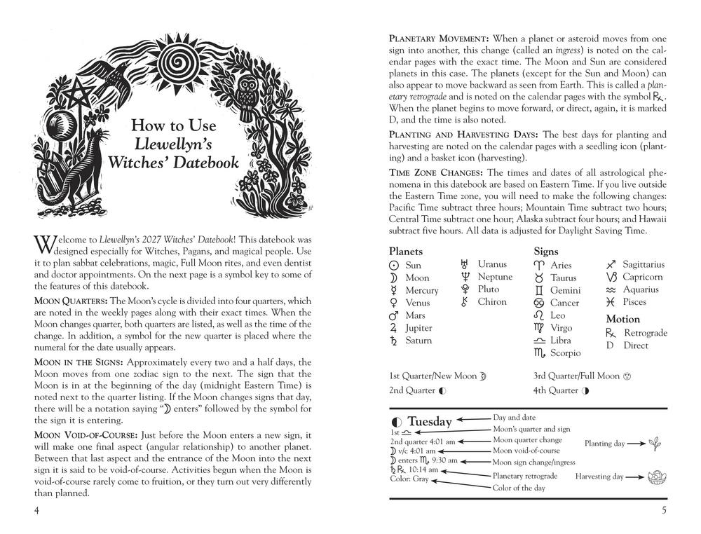 2027 Witches Datebook by Llewellyn