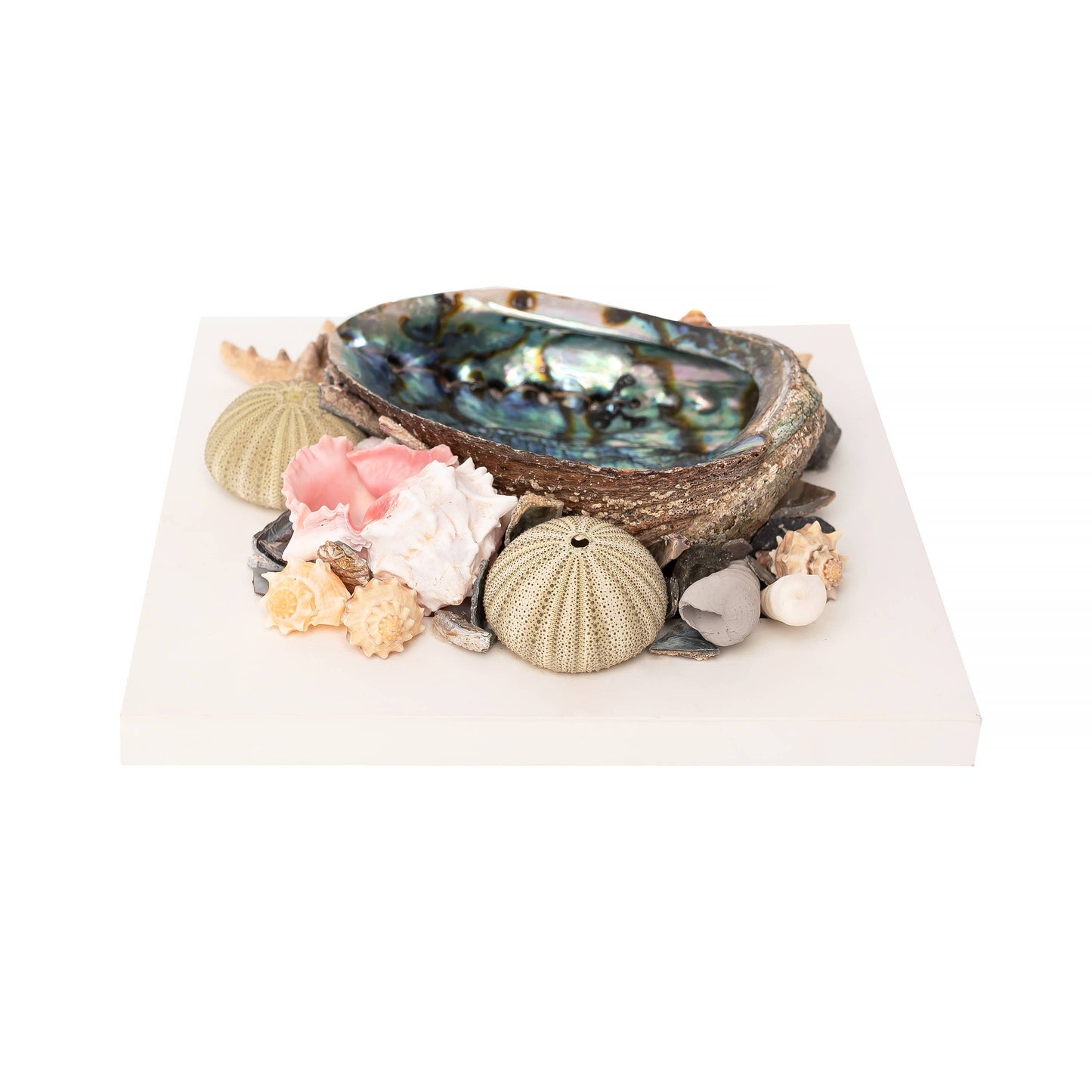 Abalone Shell Altar Piece with Sea Shells