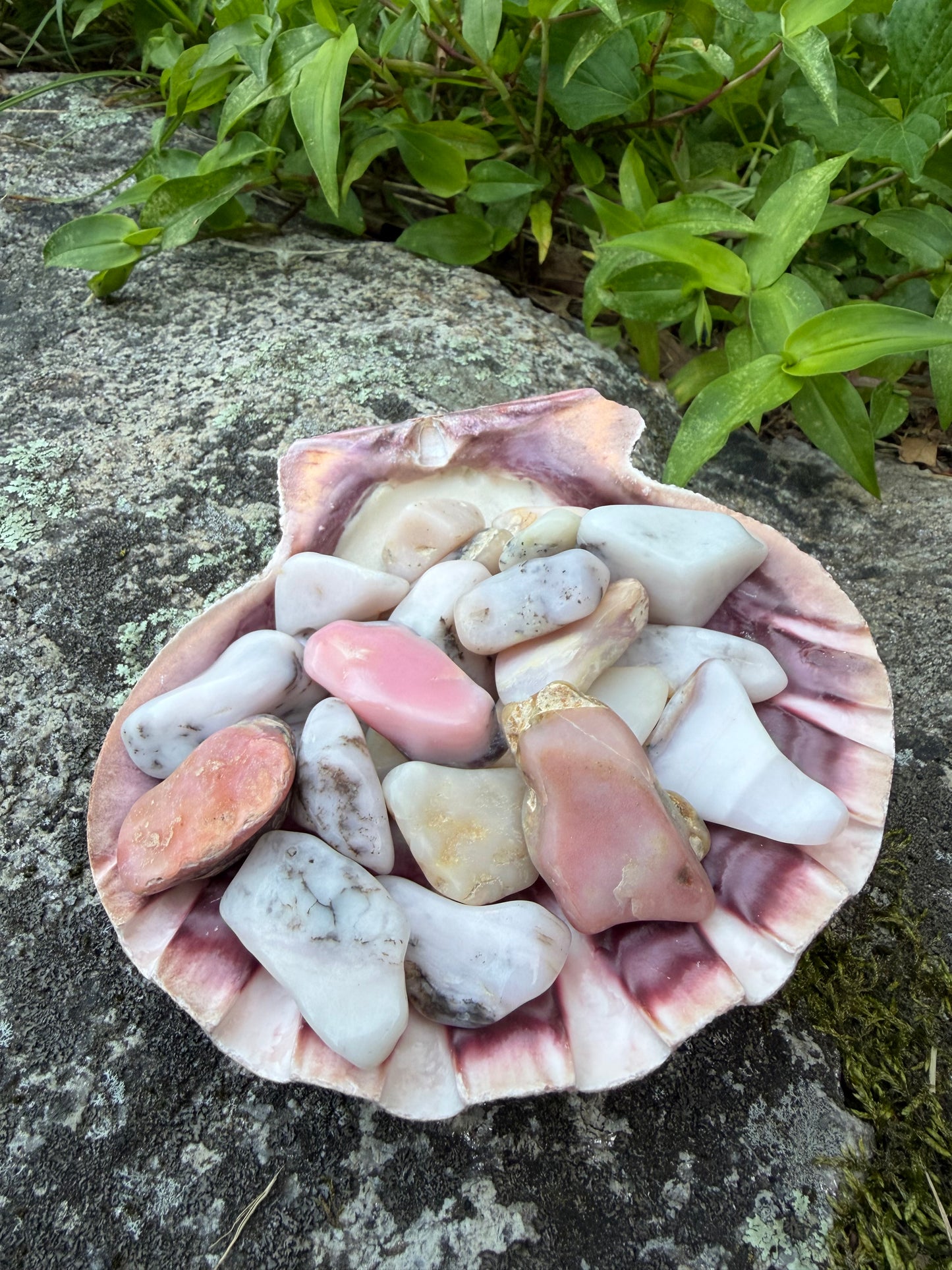 Pink Opal tumbled 20-45 MM