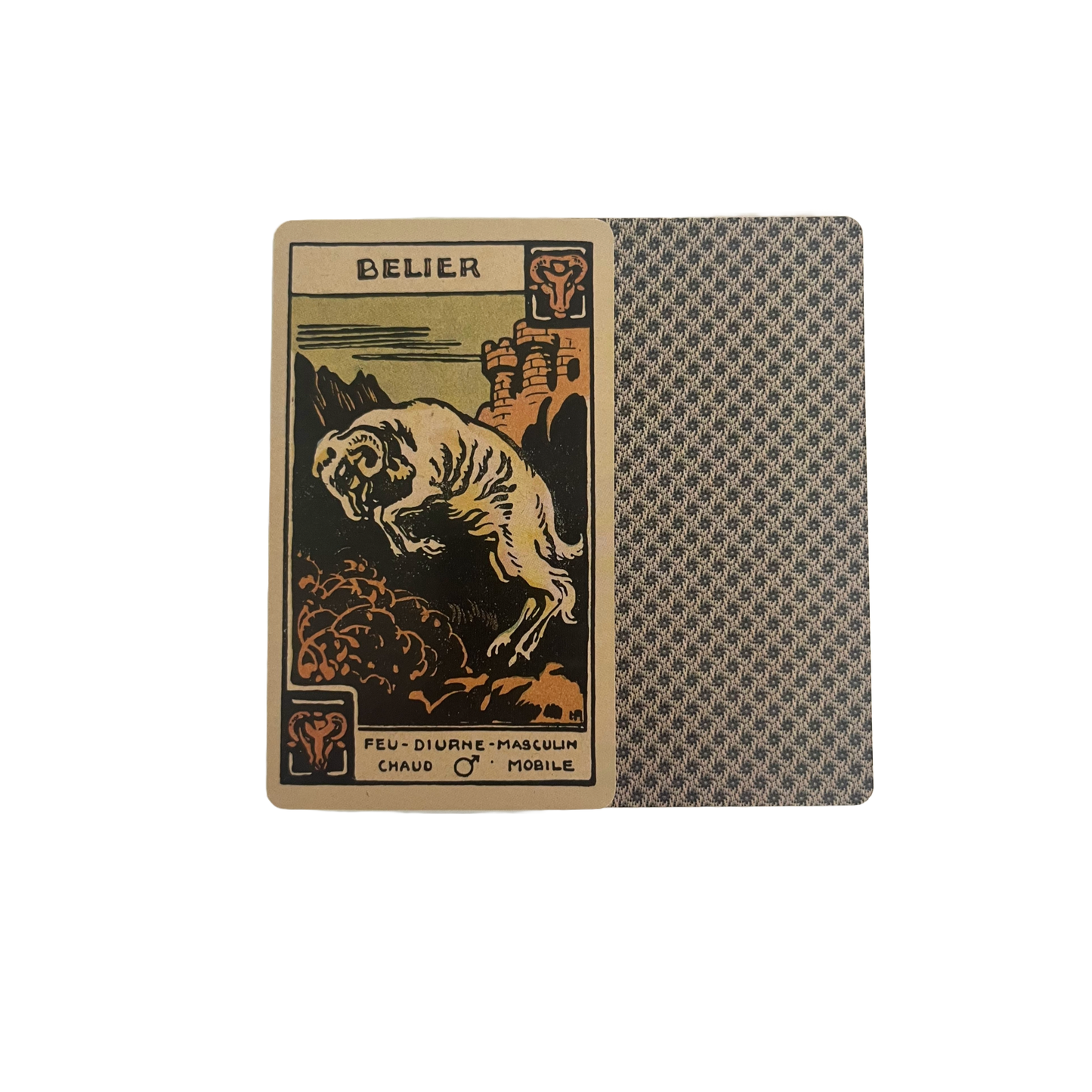 Astrological Tarot Deck with Guidebook | Made in USA |