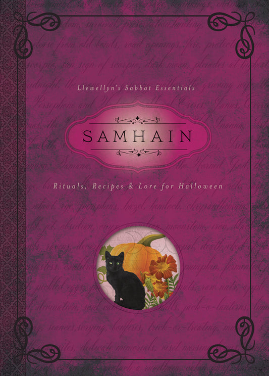 Llewellyn's Sabbat Essentials Series Samhain by Diana Rajchel Llewellyn
