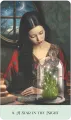 Weeds & Witches Oracle Deck