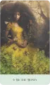 Weeds & Witches Oracle Deck