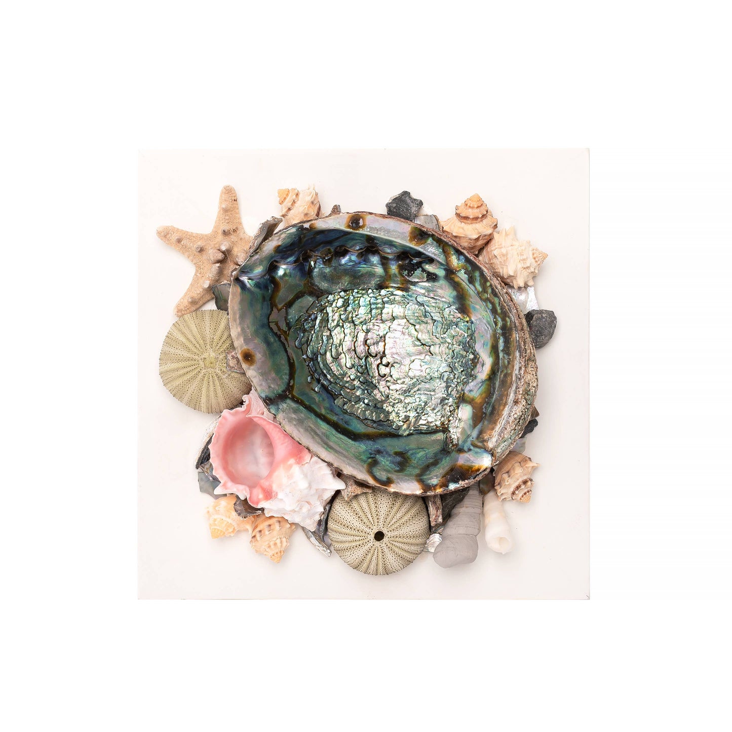 Abalone Shell Altar Piece with Sea Shells