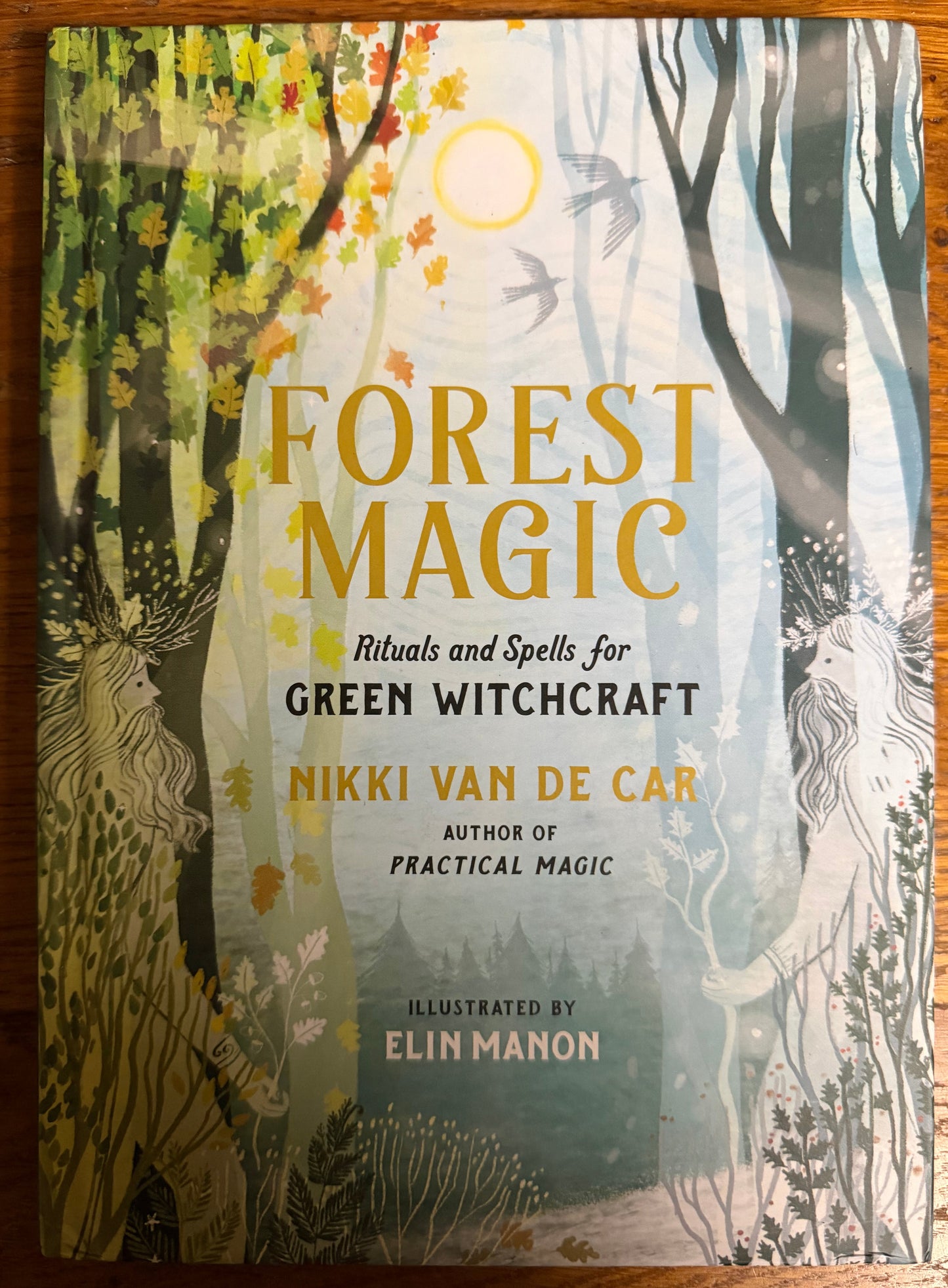 Forest Magic: Rituals and Spells for Green Witchcraft by Nikki Van de Car