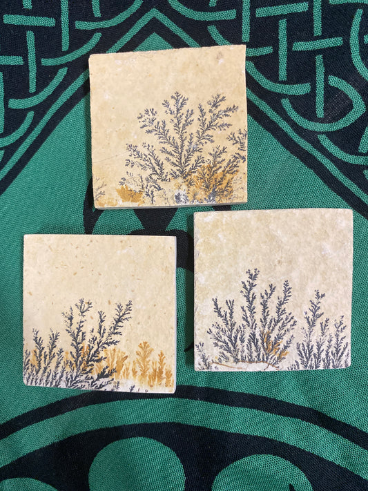 Dendritic Agate Dendrite Slabs 1.75” square