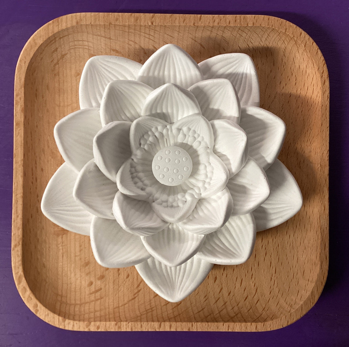 Lotus Diffuser Plant Therapy