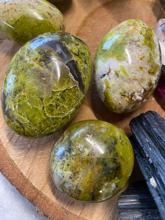 Green Opal Palm Stone