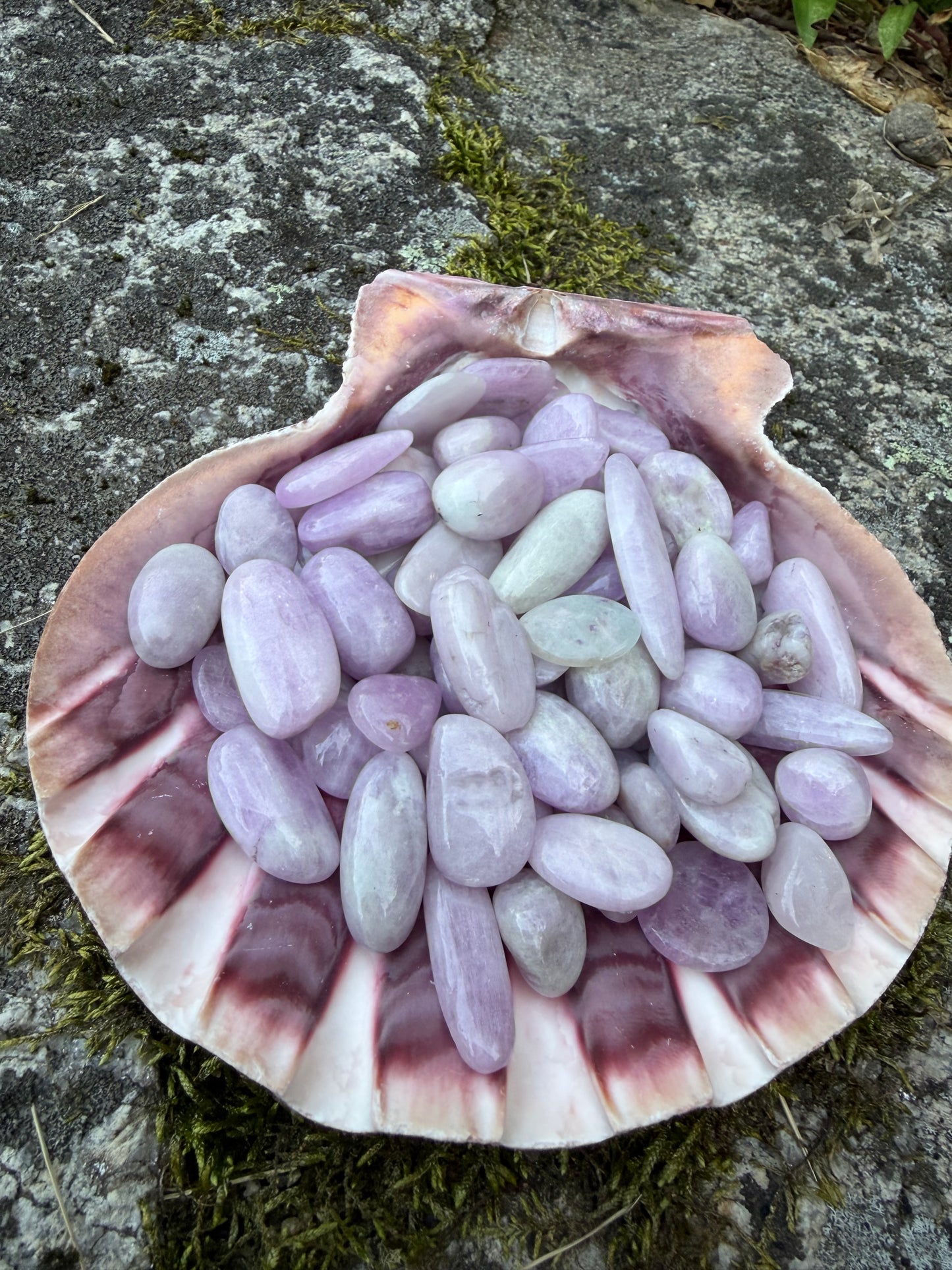 Kunzite tumbled stones 18-25 MM