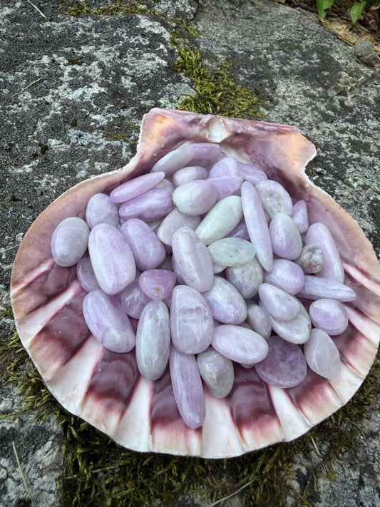 Kunzite tumbled stones 18-25 MM