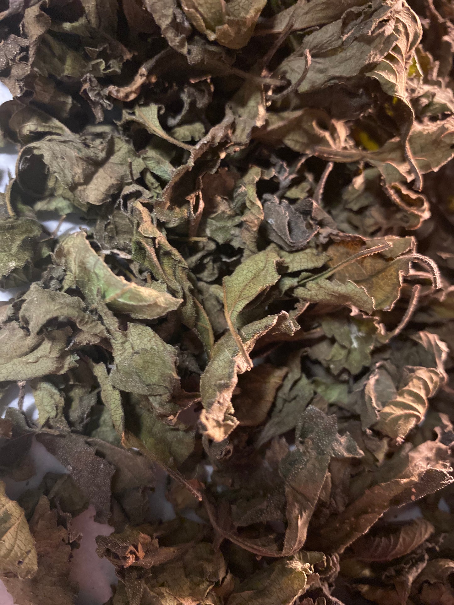 Dried Abre Camino Herb
