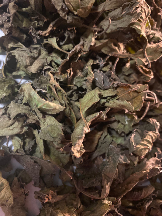 Dried Abre Camino Herb