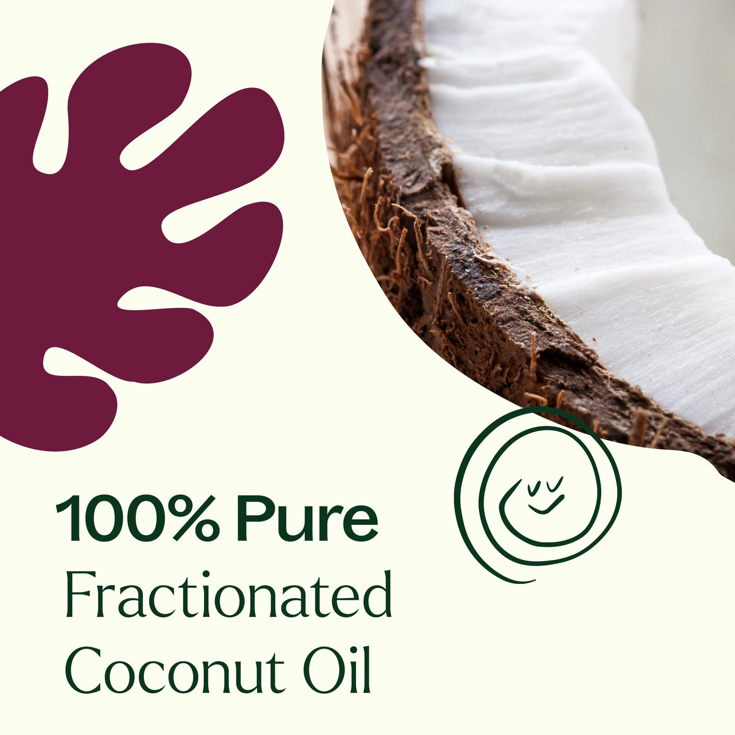 Fractionated Coconut Carrier Oil 16 oz by Plant Therapy
