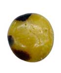 Septarian palm stone (jasper)