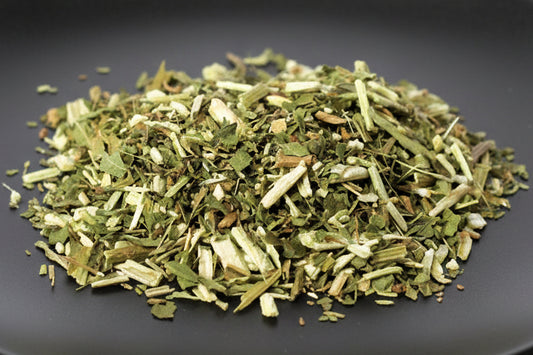 Vervain cut (Verbena hastata) (Blue Vervain)