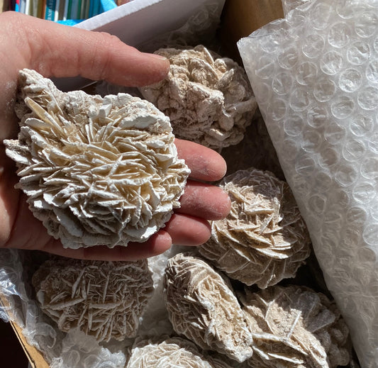 Desert Rose (2" to 3")