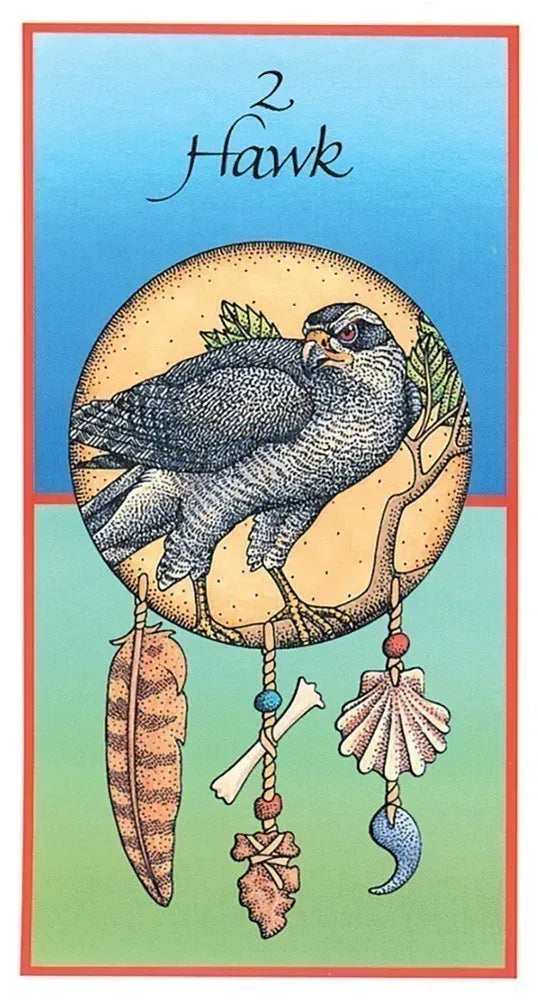 Medicine Cards Set