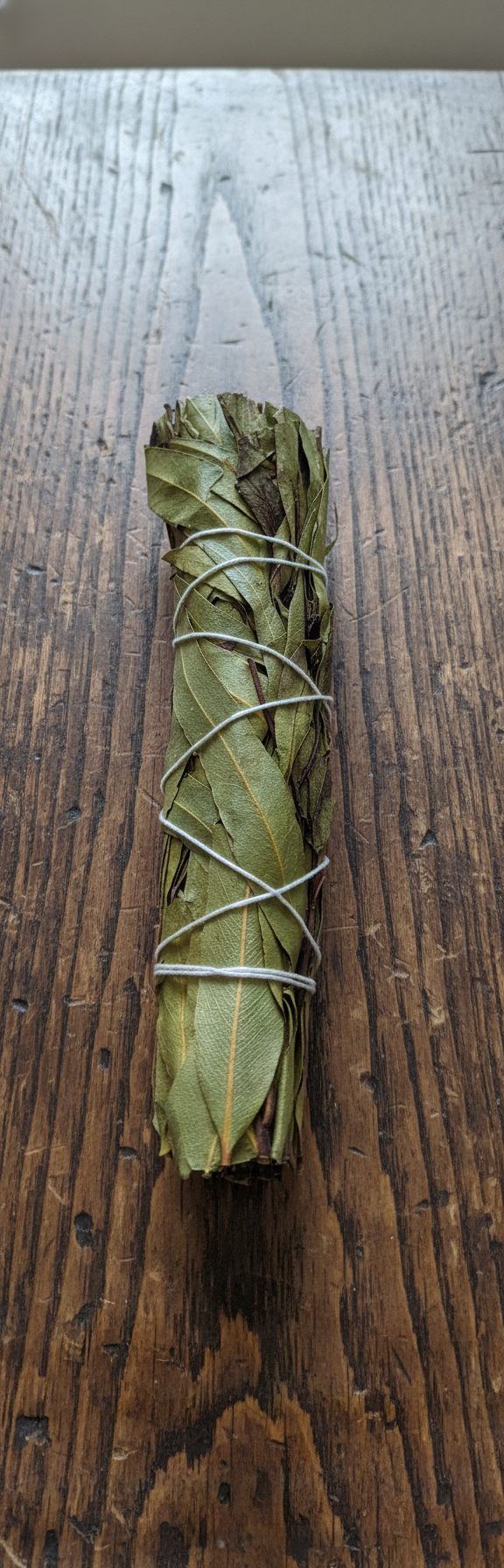 4" Eucalyptus Citridora smudge stick