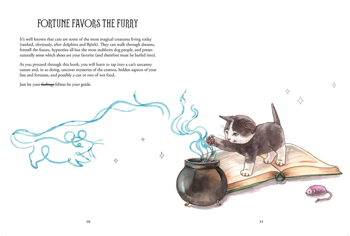 Pawmistry