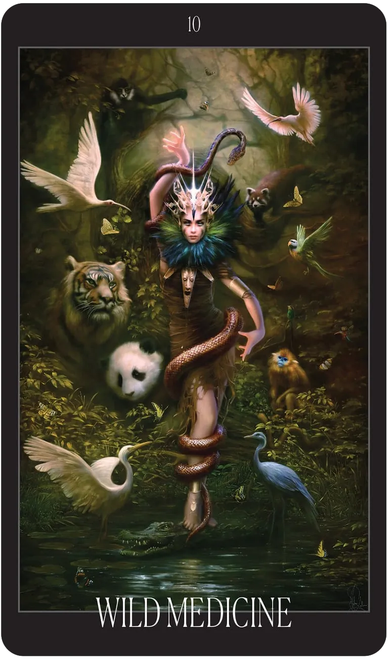 The Oracle of the Vampire Fae: Fierce Feminine Wisdom from the Baobhan Sith