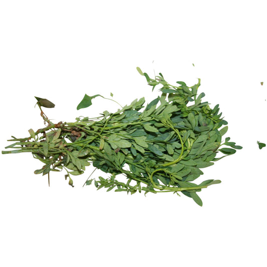 Fresh Rue Herb